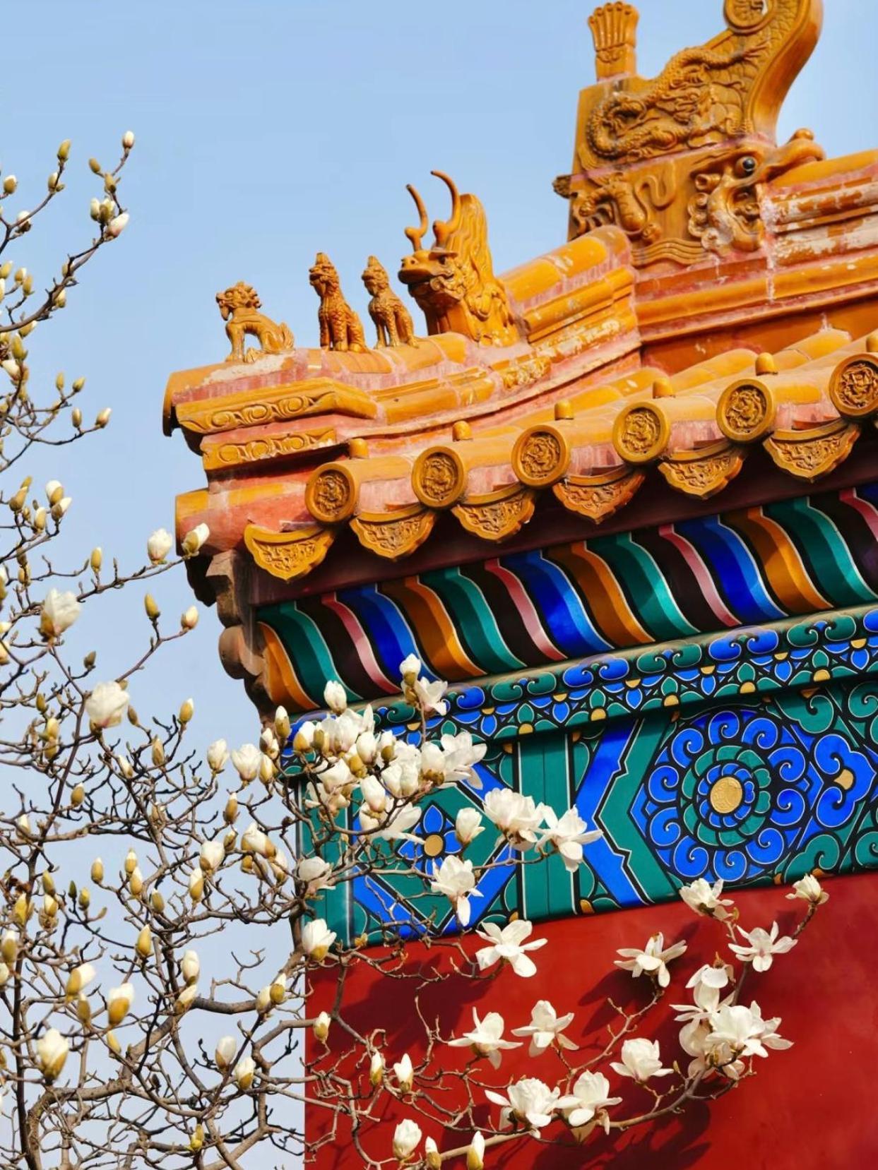 Happy Dragon Courtyard- Newly Renovated With French Windows, Near Tian'Anmen Forbidden City,Lama Temple And Heaven Temple, 3Minutes Walk From Subway,Fluent English Speaking With Tourist Sights Tickets Service ,Free Coffee &Laundry Service Пекин Экстерьер фото